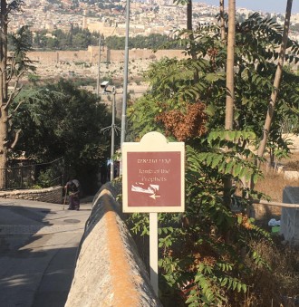 Jérusalem - le jardin de Géthsémani